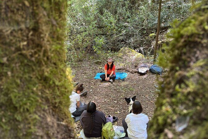 Immerse in the Nature: Deep Connection through Forest Bathing - A Closer Look at the Forest Bathing Tour
