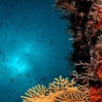 Immersion in Banco Santa Croce from Sorrento with Expert Guide - Who Should Consider This Tour?