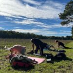 In Gironde: Yoga, walk, and brunch in naturefor all levels - A Day of Simple Pleasures in Gironde