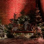 In Lübeck ist Weihnachten zu Haus. - Who Should Consider This Tour?