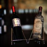 In the skin of a winemaker - An In-Depth Look at the Experience