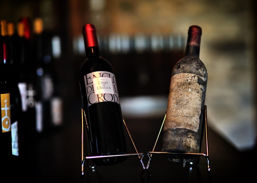 In the skin of a winemaker - An In-Depth Look at the Experience
