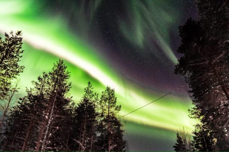 Inari: Northern Lights Hunt Snowmobile Safari - Final Thoughts: Is This Tour Right for You?