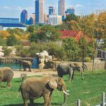 Indianapolis: 3-Day Indy Attraction Pass - Final Thoughts
