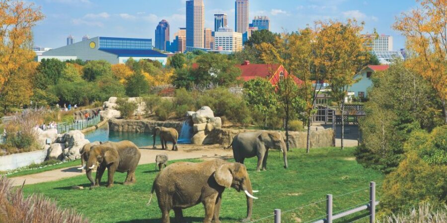 Indianapolis: 3-Day Indy Attraction Pass - Final Thoughts