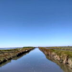 Industry or Nature Boat Tour | Speedboat - FAQs