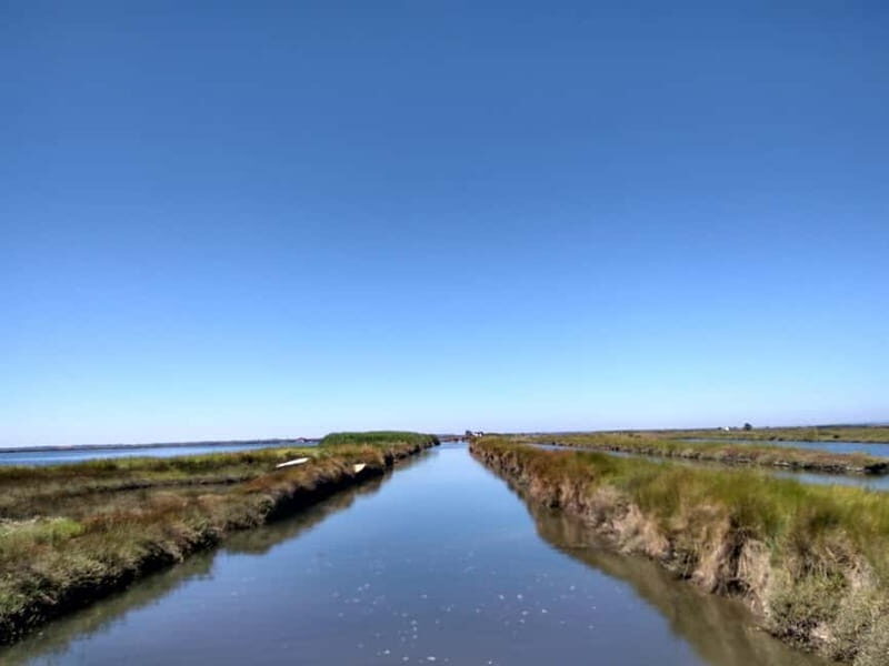 Industry or Nature Boat Tour | Speedboat - FAQs