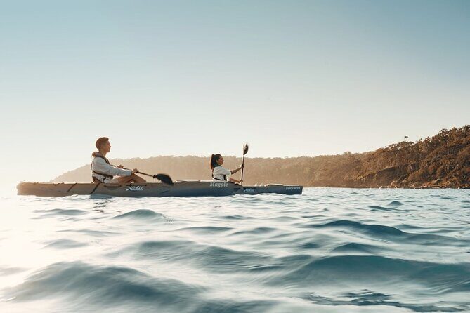 Informative Oyster Activity: Handling, Shucking & Storing + Kayaking - The Full Experience: What to Expect from Start to Finish