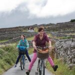 Inis Mór (Aran Islands) Day Trip: Return Ferry from Rossaveel, Galway - Who Would Enjoy This Tour?