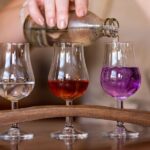 Ink Gin Experience - Who Will Love This Tour?