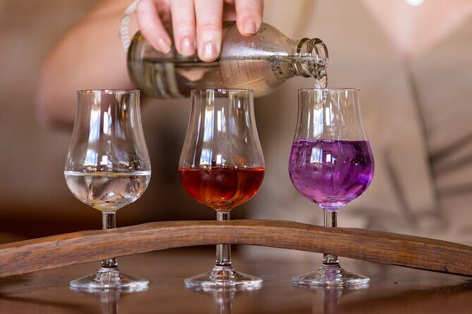 Ink Gin Experience - Who Will Love This Tour?