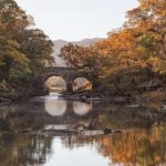 Innisfallen Island - Scenery & history of Killarney National Park - Who Will Love This Tour?