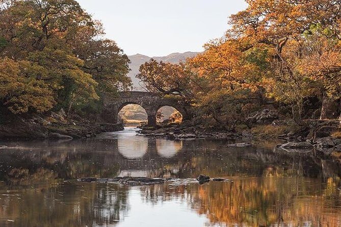 Innisfallen Island - Scenery & history of Killarney National Park - Who Will Love This Tour?