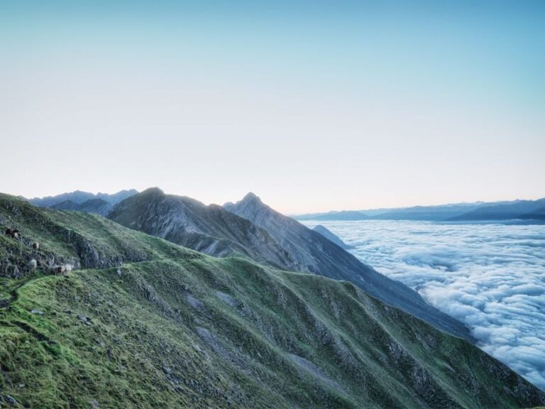 Innsbruck: Alpenzoo & Top of Innsbruck Combination Ticket - What Sets This Tour Apart