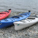 Inside Passage Sea Kayaking in Haines - Who Will Love This Tour?