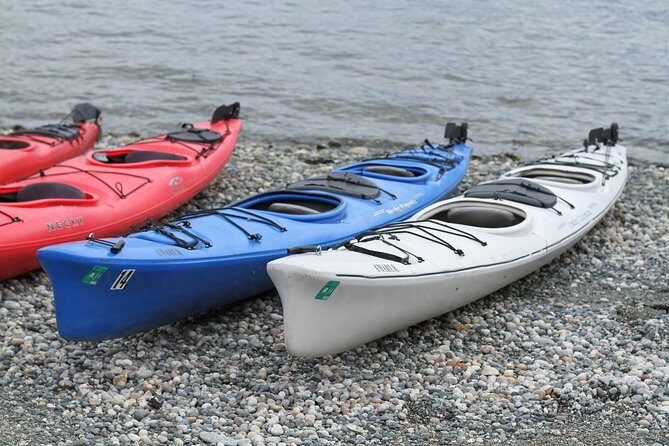 Inside Passage Sea Kayaking in Haines - Who Will Love This Tour?