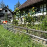 Interlaken: Ballenberg Swiss Open-Air Museum Tour - Final Thoughts