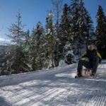 Interlaken: Guided Sledging Adventure - Practical Details: What You Need to Know