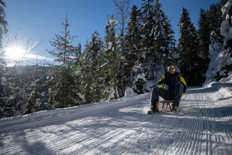 Interlaken: Guided Sledging Adventure - Practical Details: What You Need to Know