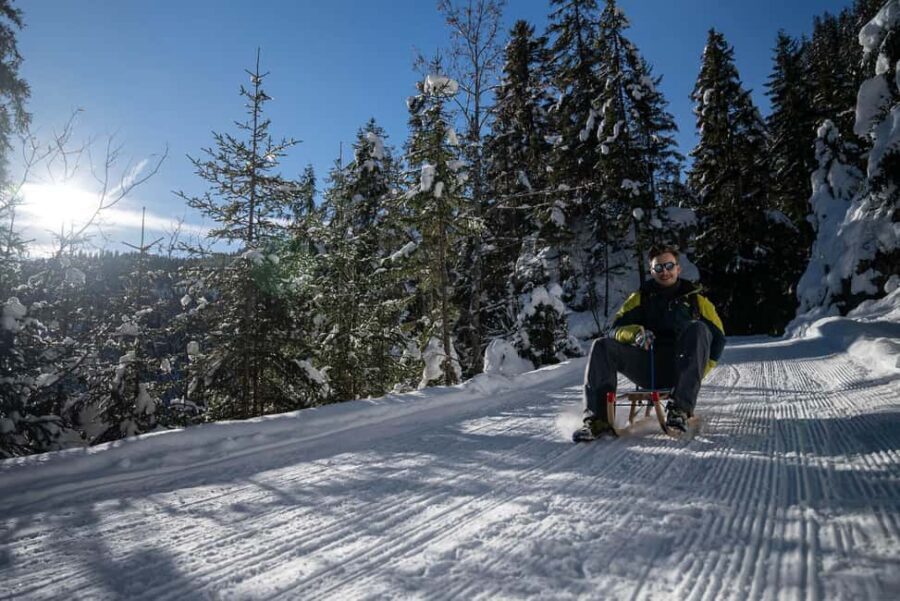 Interlaken: Guided Sledging Adventure - Practical Details: What You Need to Know
