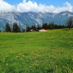 Interlaken: Highlights Tour with a Local by Private Car - Who Will Love This Tour?