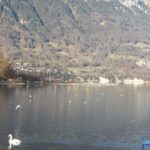 Interlaken Private Tour: Mountains Cows, Thun Lake, and Brienz Lake - Who Is This Tour Best Suited For?