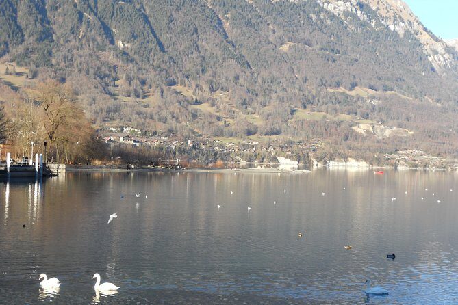 Interlaken Private Tour: Mountains Cows, Thun Lake, and Brienz Lake - Who Is This Tour Best Suited For?