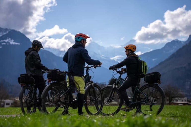 Interlaken: Scenic E-Bike Guided Tour - A Detailed Look at the Scenic E-Bike Tour