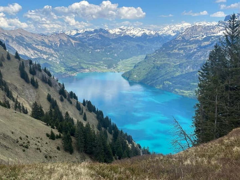 Interlaken: Summit the Augstmatthorn with a Swiss Triathlete - A Deep Dive into the Experience
