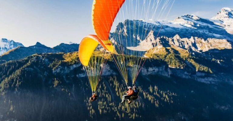 Interlaken: Tandem Paragliding Flight - The Sum Up: Is Paragliding in Interlaken Worth It?