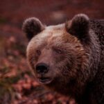 International Environmental Centre of ARCTUROS Tour - A Deep Dive into the ARCTUROS Experience