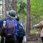 Into the wild - a sensorial experience in Stockholm's woods - Who Will Love This Tour