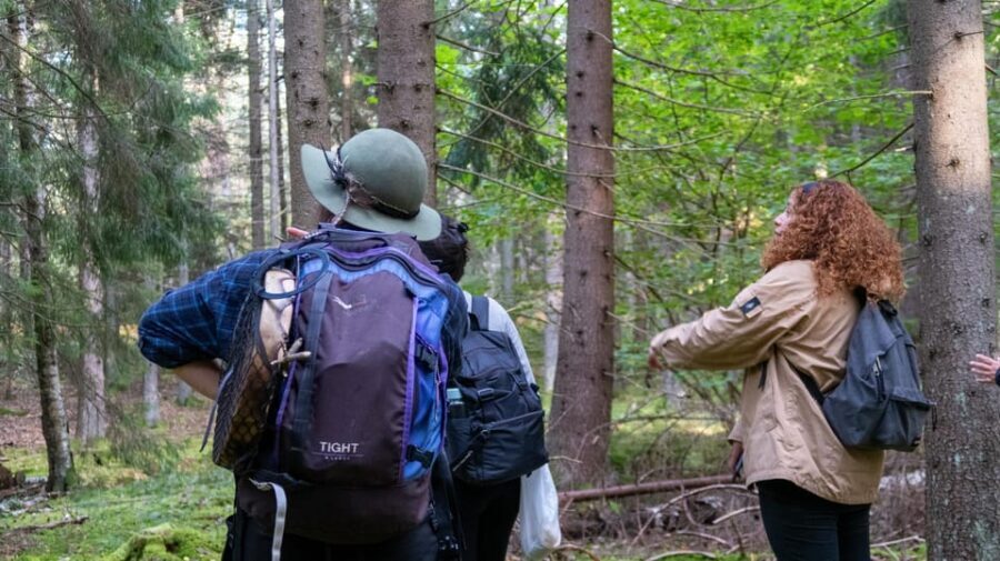 Into the wild - a sensorial experience in Stockholm's woods - Who Will Love This Tour
