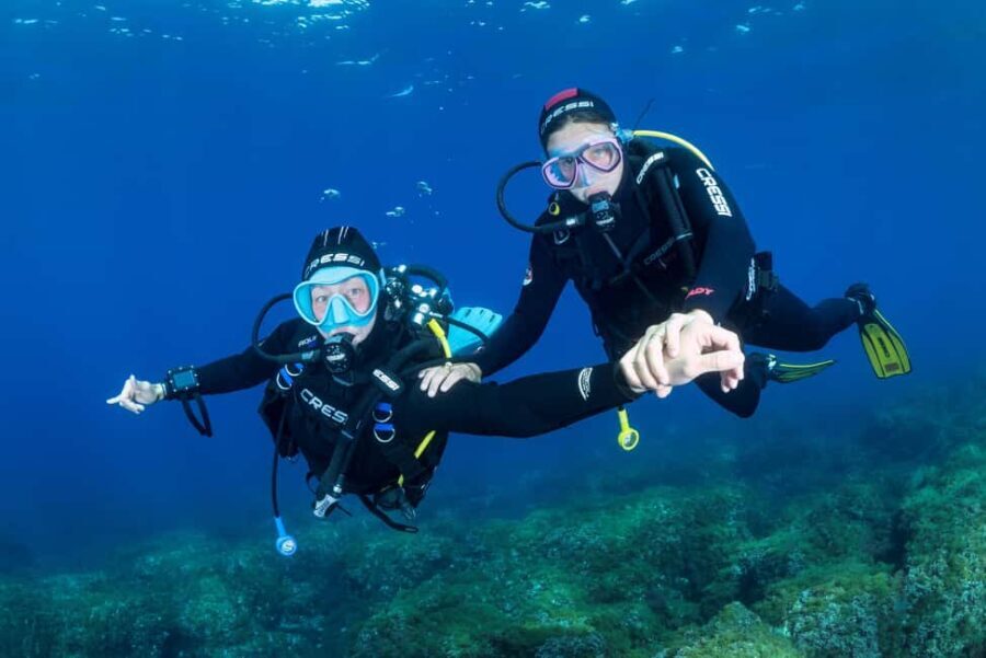 Introductory dive in Marseille - Why We Think This Tour Offers Great Value