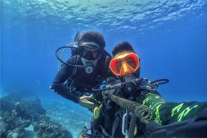 Introductory Diving Class in the Cozumel Reefs - What Makes This Tour Special?