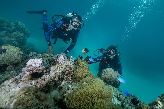 Introductory Scuba Diving Experience in Bora Bora