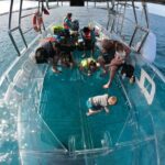 Invisible Boat Snorkeling Tour - The Experience: What You Can Expect