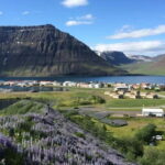 Ísafjörður: Flateyri Village tour: Nature, Culture, History - Practical Details and Value