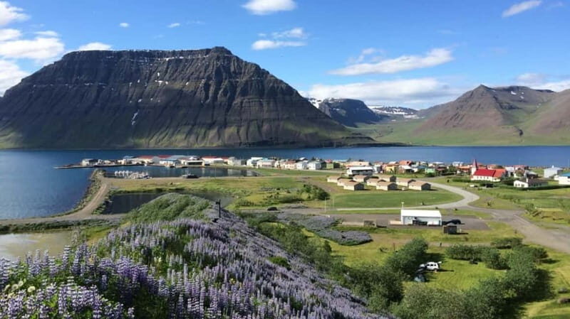 Ísafjörður: Flateyri Village tour: Nature, Culture, History - Practical Details and Value