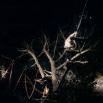 Ischia: Adventure Night with zipline - Who Will Love This Experience?