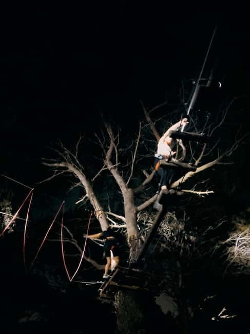Ischia: Adventure Night with zipline - Who Will Love This Experience?