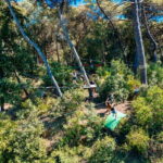 Ischia: Adventure Park Extreme Ticket - Why We Think It’s a Great Value