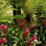Ischia and La Mortella Gardens - Who Should Consider This Tour?