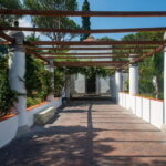 Ischia: Archaeological Museum of Pithecusae Ticket - Exploring the Museum’s Collection and Its Significance