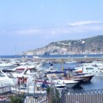 Ischia Food Tastings & Sightseeing: Private Day Trip from Naples Port - Practical Details and Value