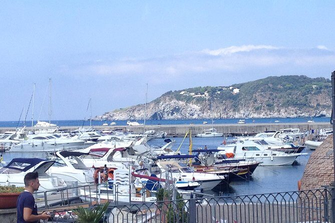 Ischia Food Tastings & Sightseeing: Private Day Trip from Naples Port - Practical Details and Value