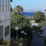 Ischia Private Day Trip from Sorrento with Local Guide and Driver - Who Should Consider This Tour?