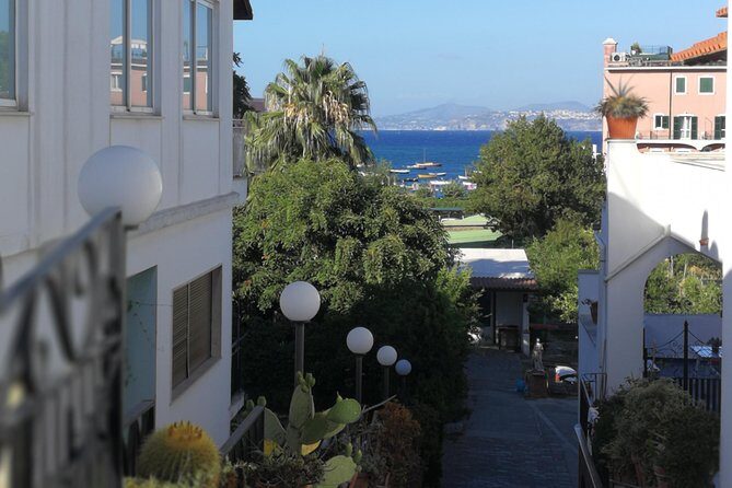 Ischia Private Day Trip from Sorrento with Local Guide and Driver - Who Should Consider This Tour?