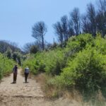 Ischia: Volcano hike - Learning About the Volcano’s Past