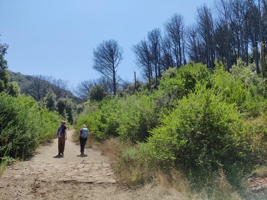 Ischia: Volcano hike - Learning About the Volcano’s Past